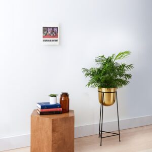 Mounted Print